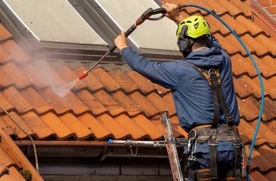 Démoussage et hydrofuge de toiture à Ordonnaz